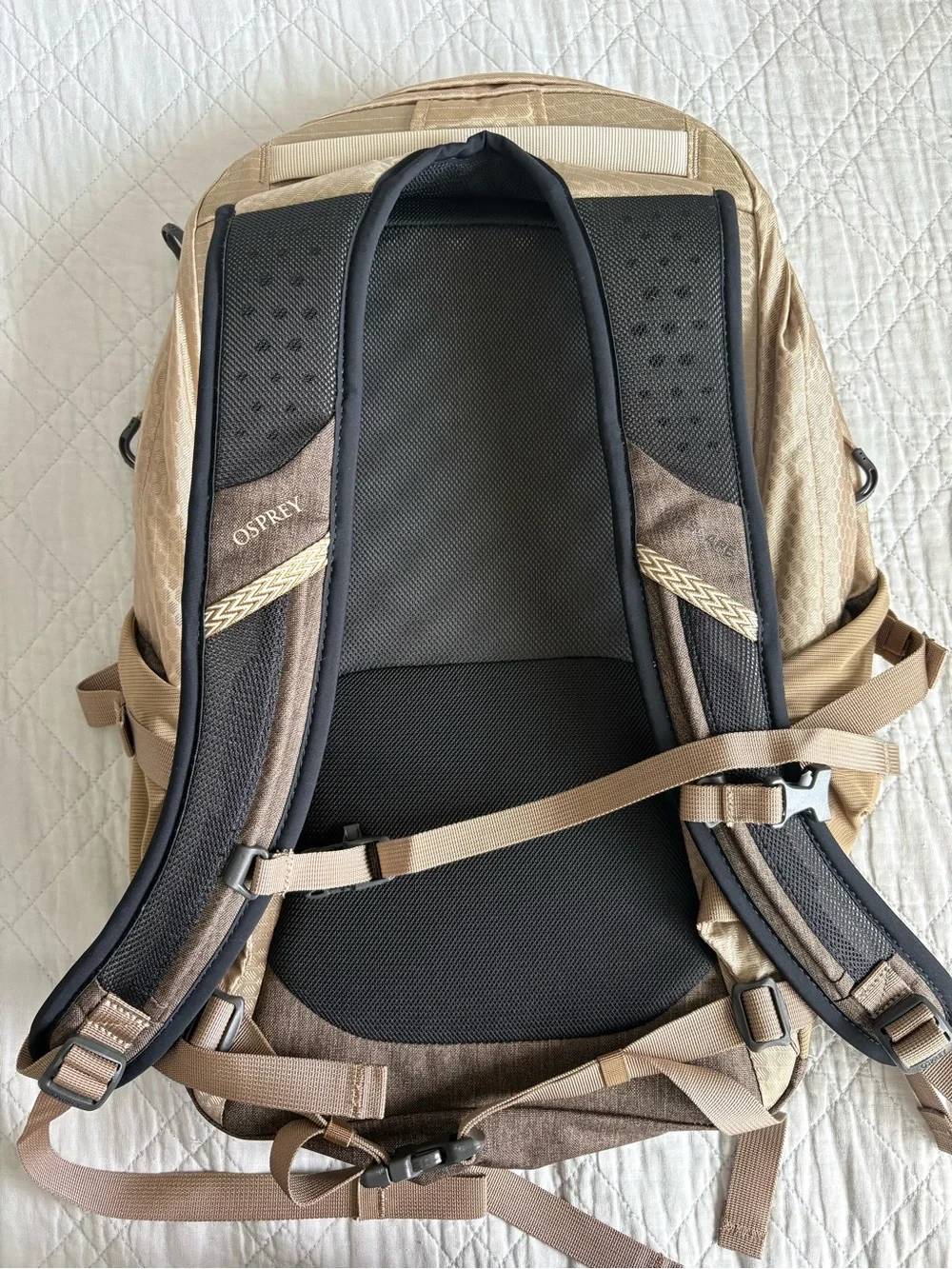 OSPREY sturdy quasar